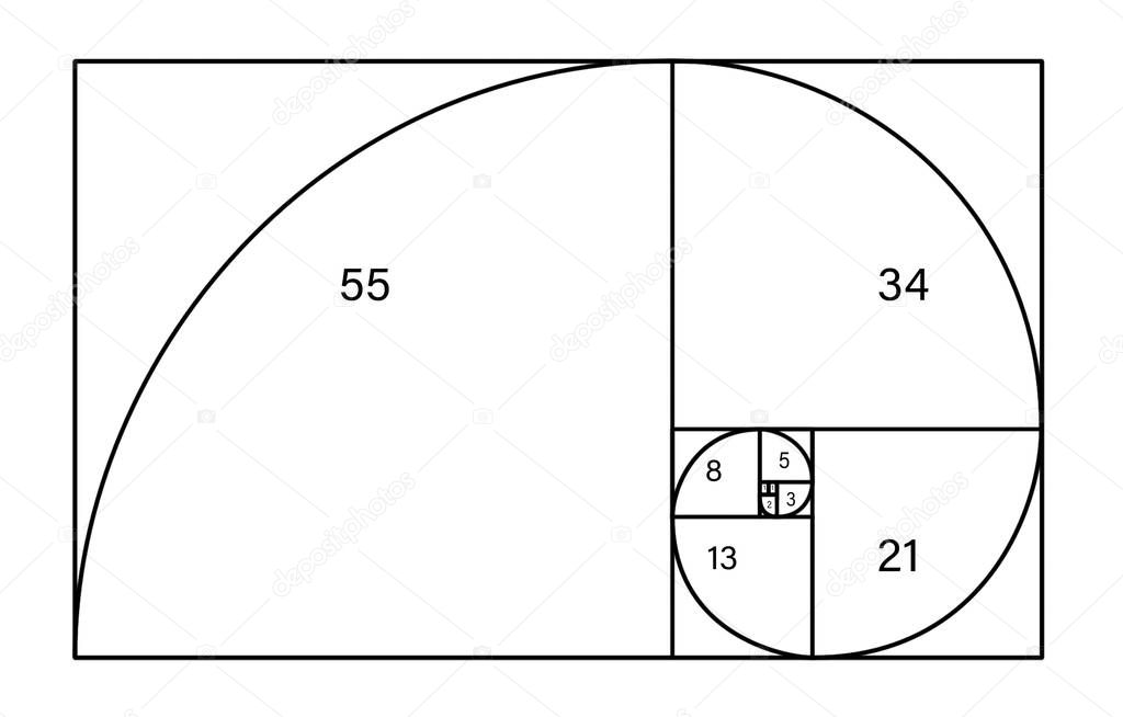 Fibonacci spiral with numbers on white background. Golden ratio concept 