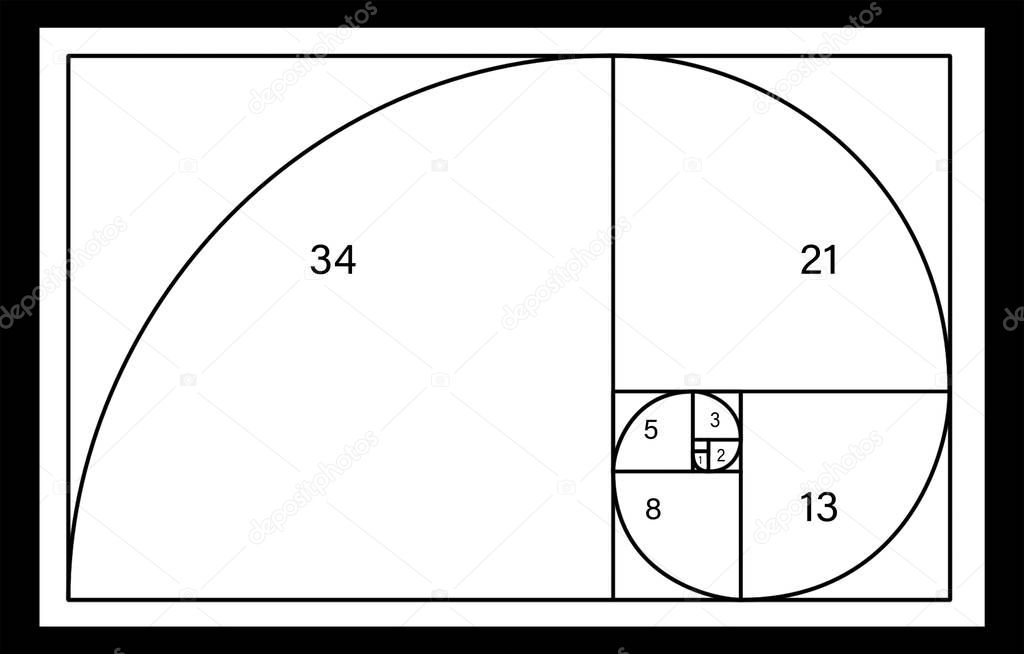 Fibonacci spiral with numbers on white background. Golden ratio concept 