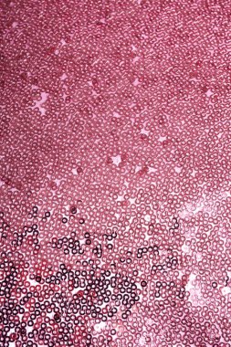 Arka plan olarak güzel gül altın ile kumaş