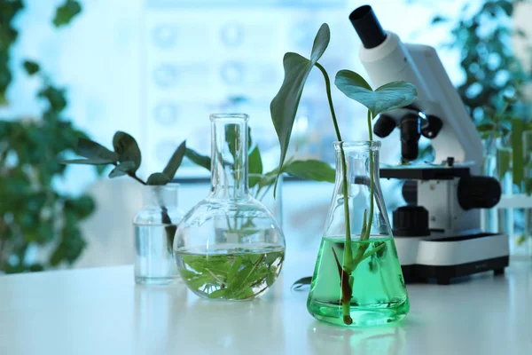 Laboratoriumglaswerk met planten en Microscoop op tafel, ruimte voor tekst. Biologische chemie — Stockfoto