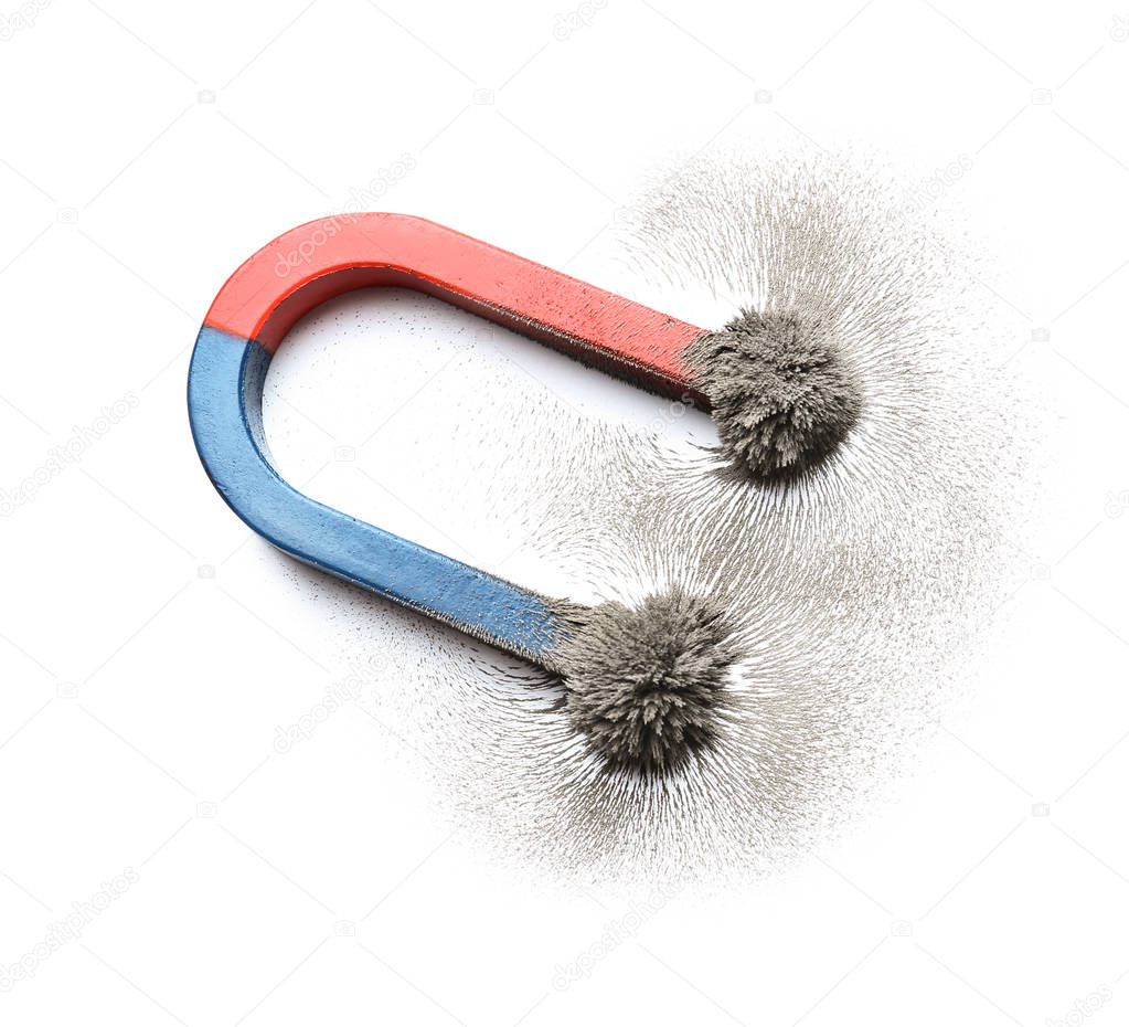 Magnet with iron powder on white background, top view
