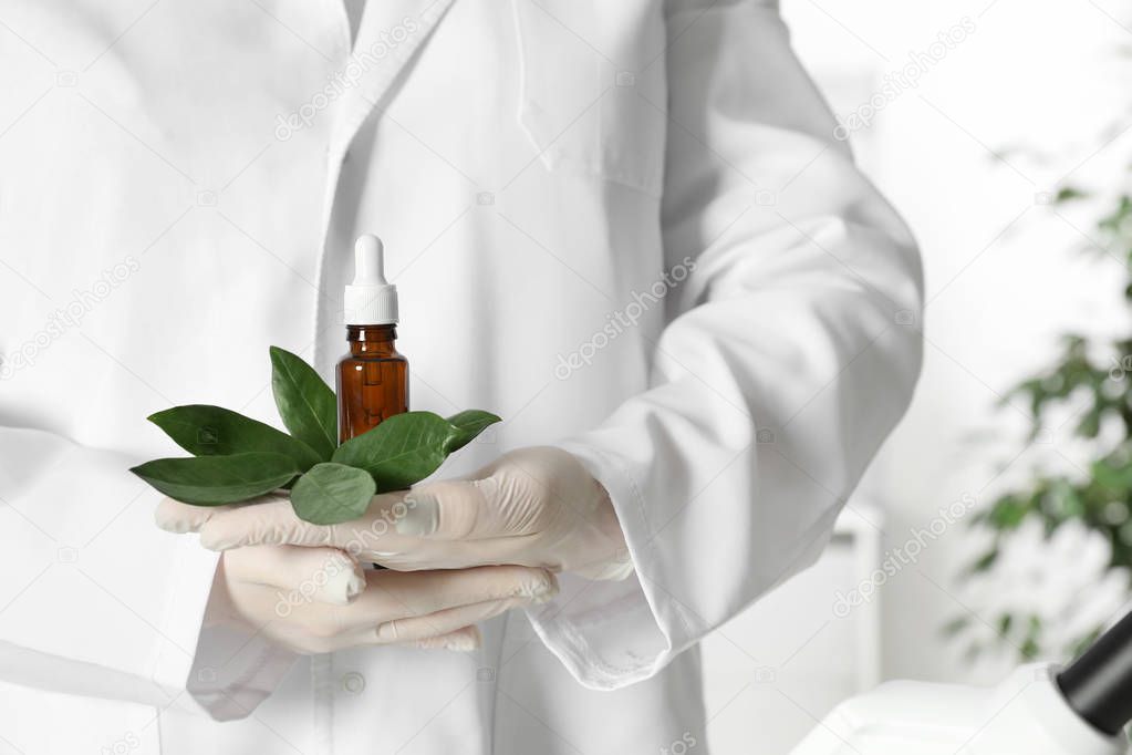 Lab assistant holding green twig and bottle of essential oil on blurred background, closeup. Plant chemistry