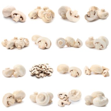 Beyaz arka plan üzerinde taze lezzetli champignon mashrooms kümesi