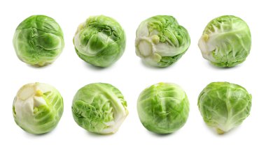 Beyaz arka planda taze Brüksel lahanaları