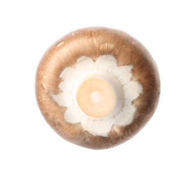 Taze champignon mantar beyaz izole. Sağlıklı gıda
