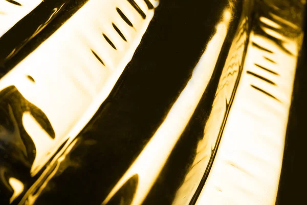 Arka plan olarak parlak altın yüzey görünümünü portre — Stok fotoğraf