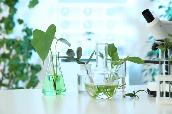 Naczynia laboratoryjne z roślin i mikroskopu na stole. Biochemia — Zdjęcie stockowe
