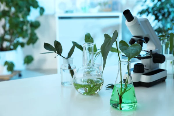 Vidrio de laboratorio con plantas y microscopio en la mesa, espacio para texto. Química biológica — Foto de Stock