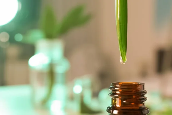 Açık damla yaprak küçük şişe içine düşen arka plan, closeup metin için yer ile bulanık. Bitki kimyası — Stok fotoğraf