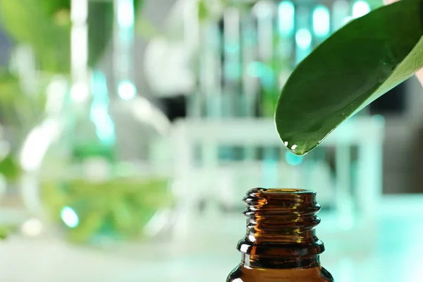 Duidelijke daling vallen van het blad klein flesje op onscherpe achtergrond, close-up met ruimte voor tekst. Plant chemie — Stockfoto