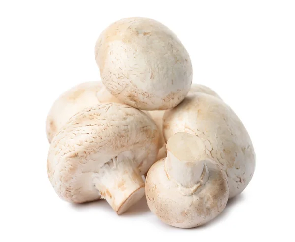 Champignon frais isolé sur blanc. Aliments sains — Photo