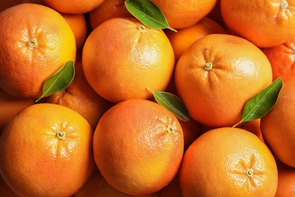 Many whole fresh ripe grapefruits as background, top view — Stock Photo, Image