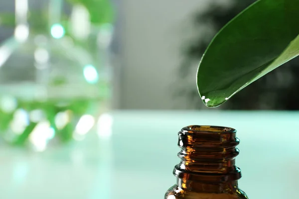 Klarer Tropfen, der vom Blatt in eine kleine Flasche auf unscharfem Hintergrund fällt, Nahaufnahme mit Platz für Text. Pflanzenchemie — Stockfoto