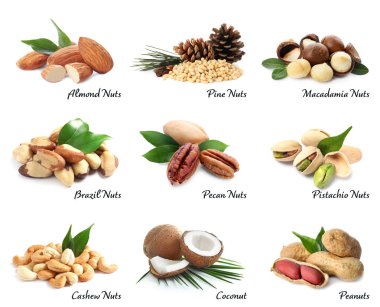 Beyaz arka plan üzerinde farklı lezzetli organik fındık kümesi