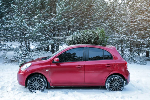 Araba ile Noel ağacı karlı kış orman çatı üzerinde — Stok fotoğraf