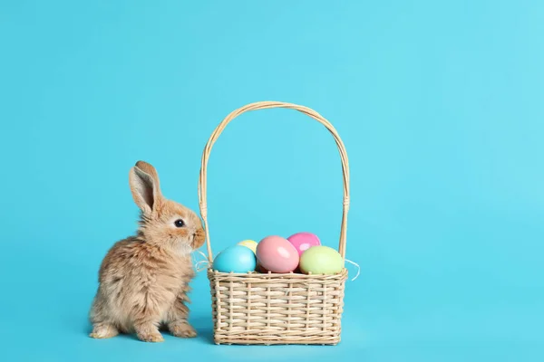 可爱的毛茸茸的复活节兔子附近的柳条篮和染色鸡蛋上的颜色背景, 文本空间 — 图库照片
