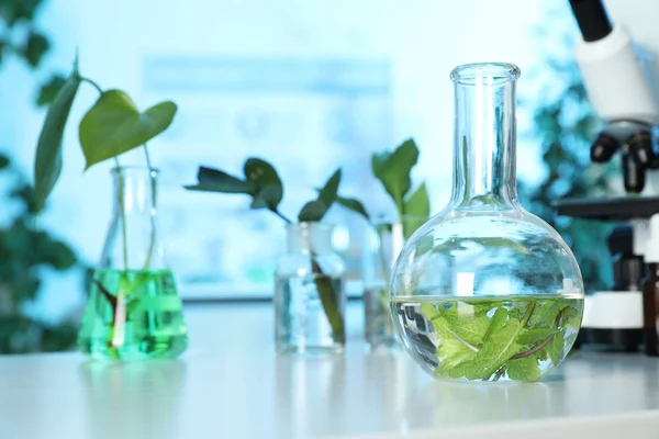 Frasco de vidrio con hojas sobre la mesa en laboratorio, espacio para texto. Química vegetal — Foto de Stock
