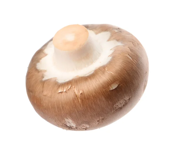 Fresh champignon mushroom isolated on white. Healthy food — Stock Photo, Image