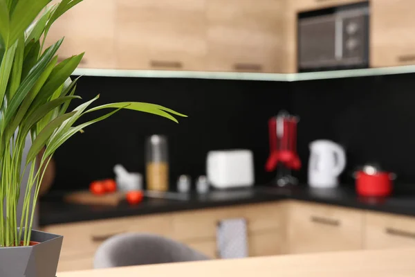 背景上的绿色植物和厨房内部模糊的视图 — 图库照片
