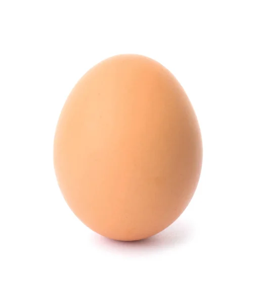 Satu telur ayam coklat dengan latar belakang putih — Stok Foto