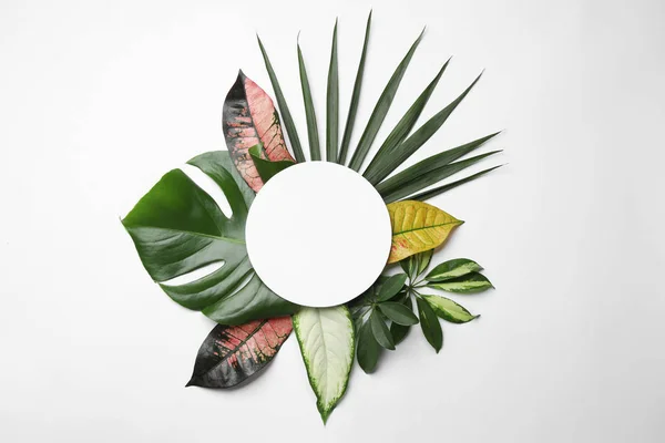 Прекрасна композиція з тропічним листям і порожньою карткою на білому тлі, вид зверху — стокове фото