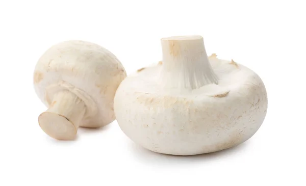 Свіжі сирі гриби чемпіонату на білому тлі — стокове фото