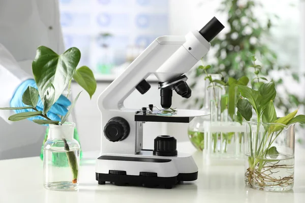 Artículos de vidrio de laboratorio con plantas y microscopio en la mesa. Química biológica — Foto de Stock