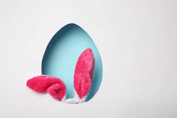 Tüylü Paskalya bunny kulaklar görünümünü metin için yer yumurta biçimli delikten renk arka plan üzerinde — Stok fotoğraf