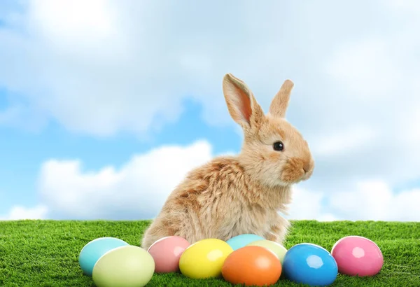 Чарівний пухнастий великодній кролик і пофарбовані яйця на зеленій траві проти блакитного неба — стокове фото