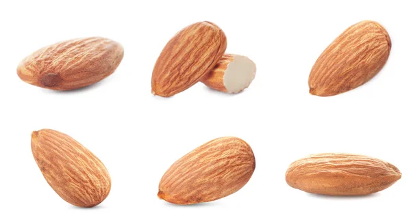 Set van verschillende heerlijke biologische amandel noten op witte achtergrond — Stockfoto