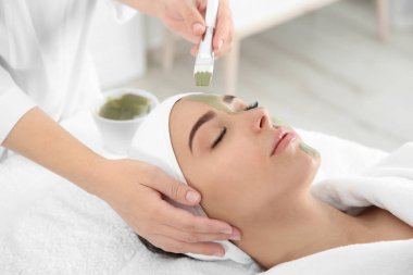 Spa salonu müşterinin yüzüne maske uygulayarak güzellik uzmanı