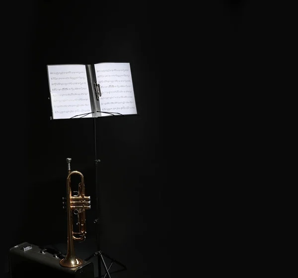 Trumpeta, případ a poznámku stojí s hudební listy na černém pozadí. Prostor pro text — Stock fotografie