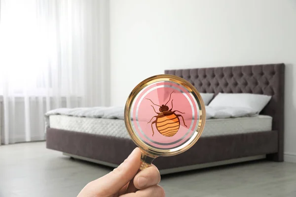 Woman with magnifying glass detecting bed bugs on mattress, closeup — Stock Photo, Image