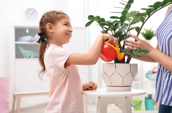 Barn med leksak vattenkanna att hjälpa mor att ta hand om krukväxt hemma. Spela inomhus — Stockfoto