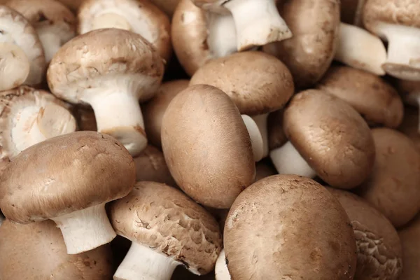Свіжі сирі гриби чемпіонату світу як фон, крупним планом — стокове фото