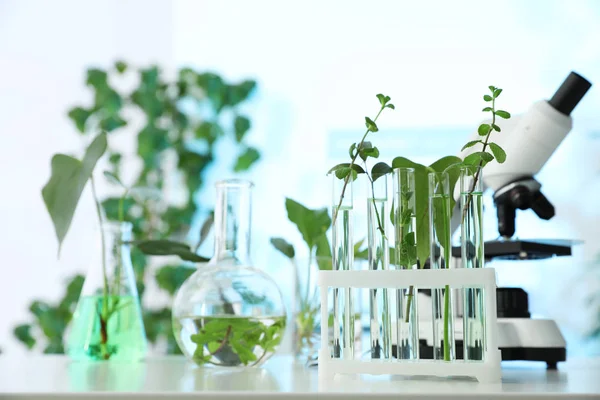 Laboratóriumi üvegeszközök, növényekkel és Mikroszkóp tábla, szöveg adható. Biokémia — Stock Fotó
