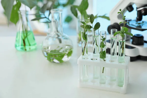 Tubos de ensayo con plantas en rack sobre mesa, espacio para texto. Química biológica —  Fotos de Stock