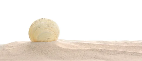 Halom a tengerre shell elszigetelt fehér homok — Stock Fotó