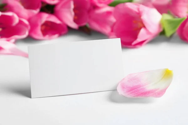 Hermosos tulipanes de primavera y tarjeta en blanco sobre fondo blanco, primer plano con espacio para el texto. Día Internacional de la Mujer —  Fotos de Stock