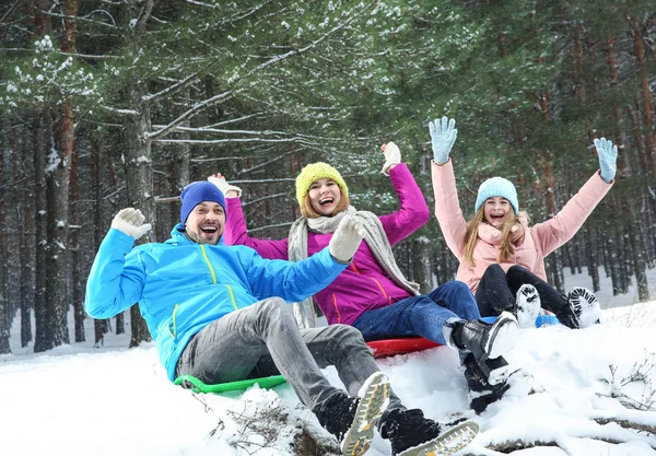 Счастливые семейные сани в лесу в снежный день — стоковое фото