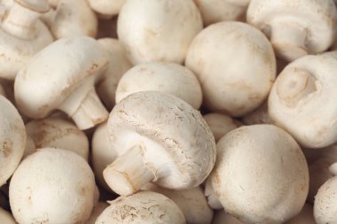 Arka plan olarak, closeup taze çiğ champignon mantar