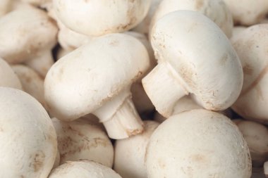 Arka plan olarak, closeup taze çiğ champignon mantar