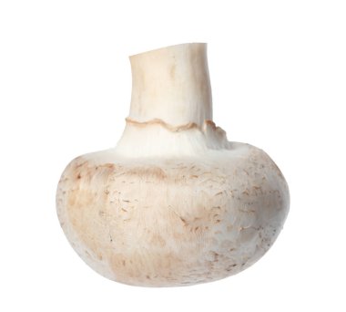 Taze champignon mantar beyaz izole. Sağlıklı gıda