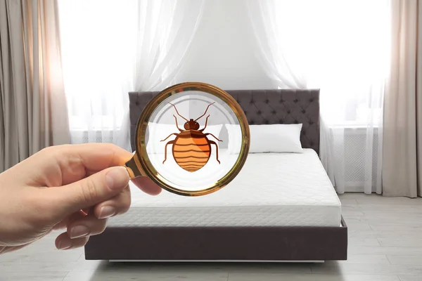 Woman with magnifying glass detecting bed bugs on mattress, closeup — Stock Photo, Image