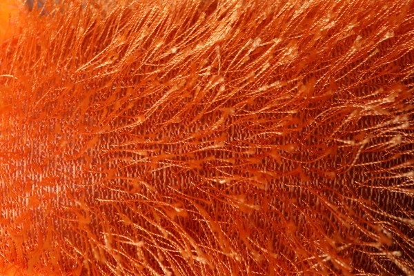 Textura de tecido fuzzy de malha laranja como fundo, close-up — Fotografia de Stock