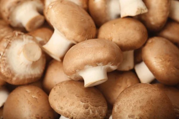 Свіжі сирі гриби чемпіонату світу як фон, крупним планом — стокове фото