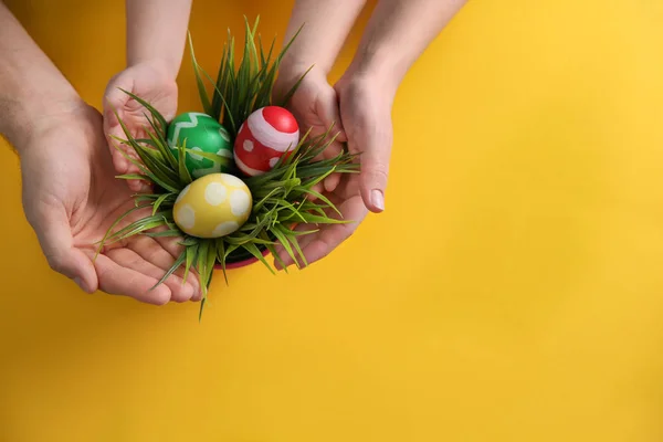 Familj med sammansättning av växt- och påsk ägg på färg bakgrunden, ovanifrån. Utrymme för text — Stockfoto