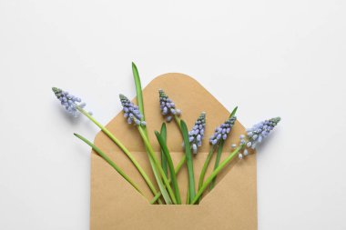 Zarf açık renkli, üstten görünüm üzerinde güzel bahar muscari çiçekli