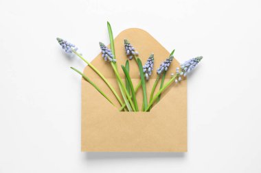 Zarf açık renkli, üstten görünüm üzerinde güzel bahar muscari çiçekli
