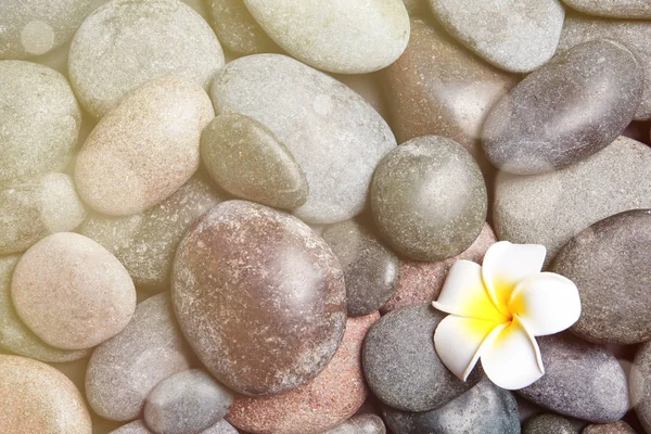 Samenstelling met spa stenen en mooie bloem als achtergrond, bovenaanzicht. Zen, balans, harmonie — Stockfoto